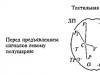 Нейрофизиологические механизмы активации